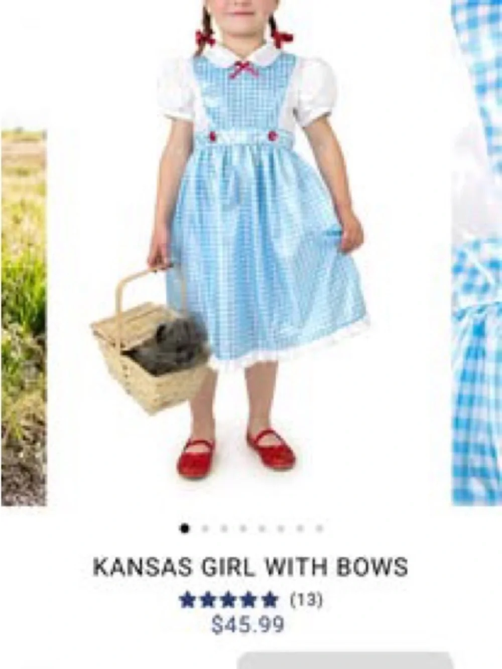Wizard of Oz Dorothy Dress